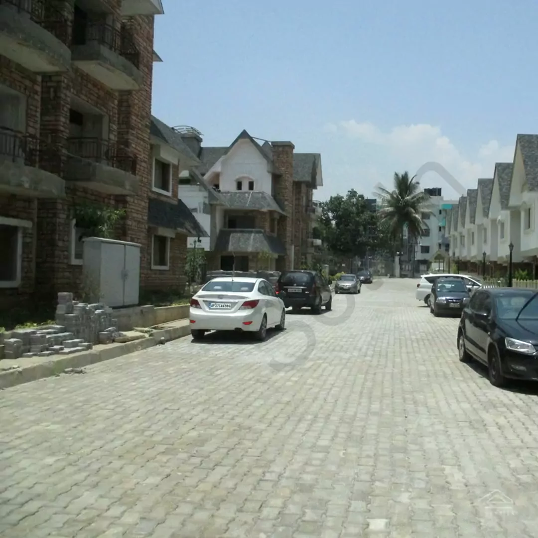 Image of Citrus Ventures Springvillae , Kudlu