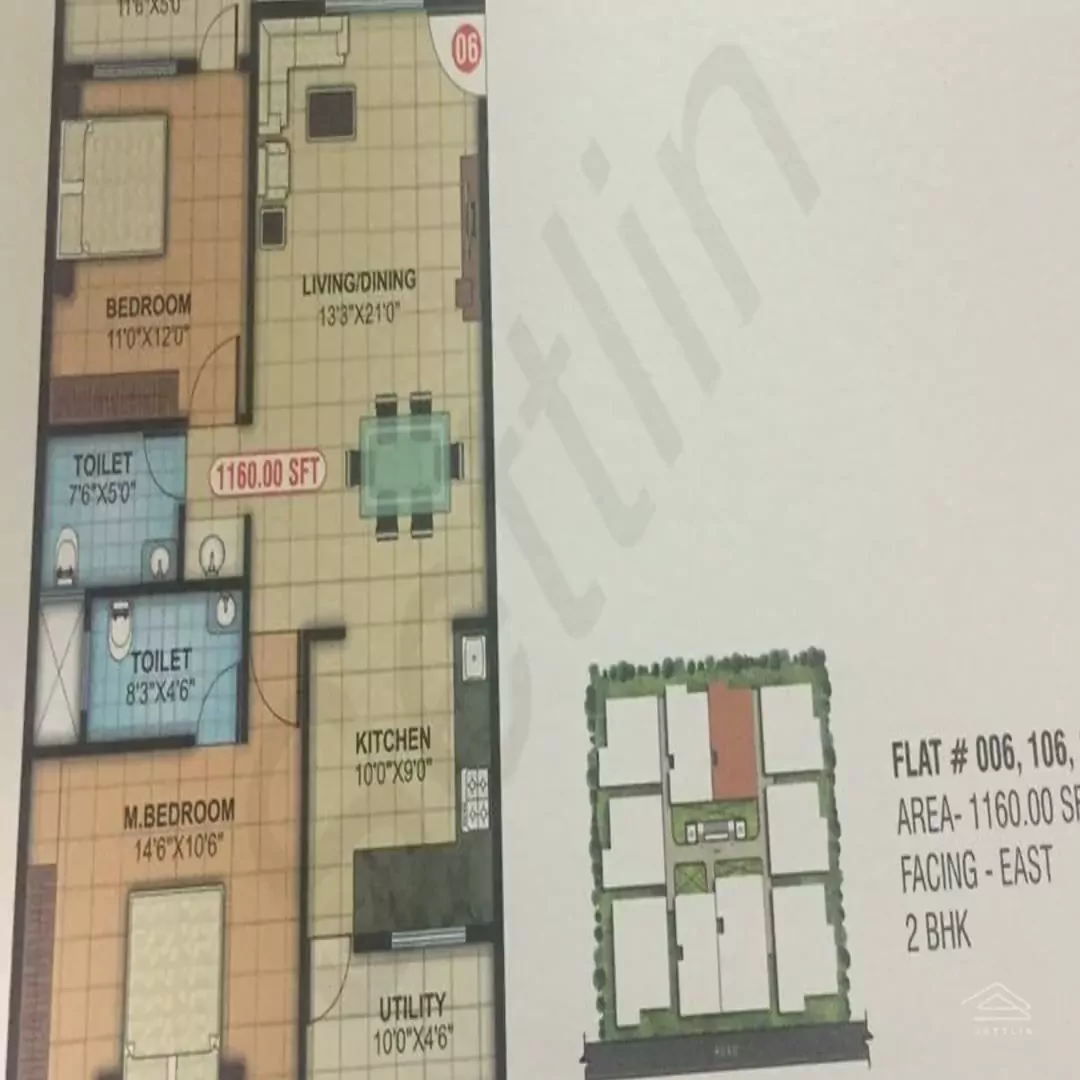 Image of Snr White Petals , Whitefield