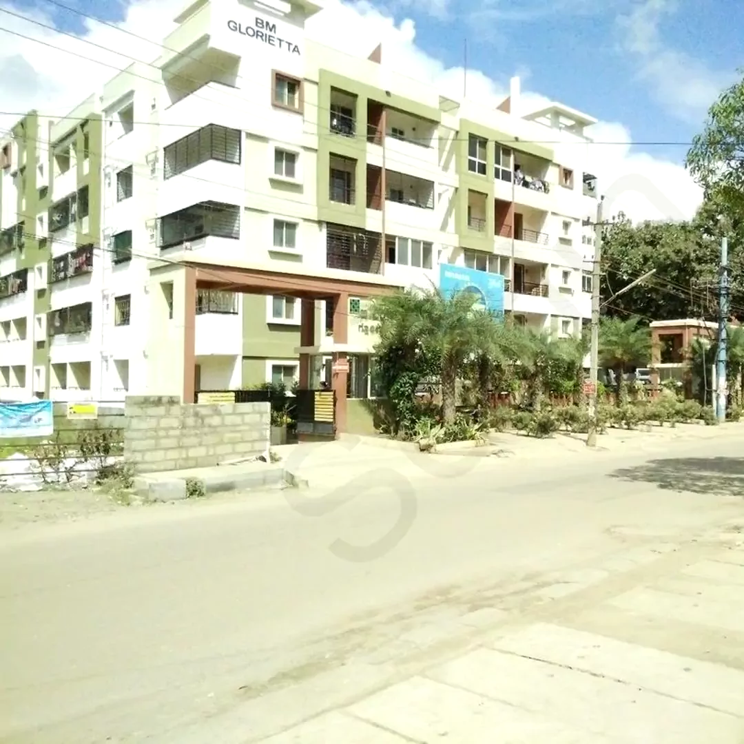 Image of Malibu Paloma , Whitefield