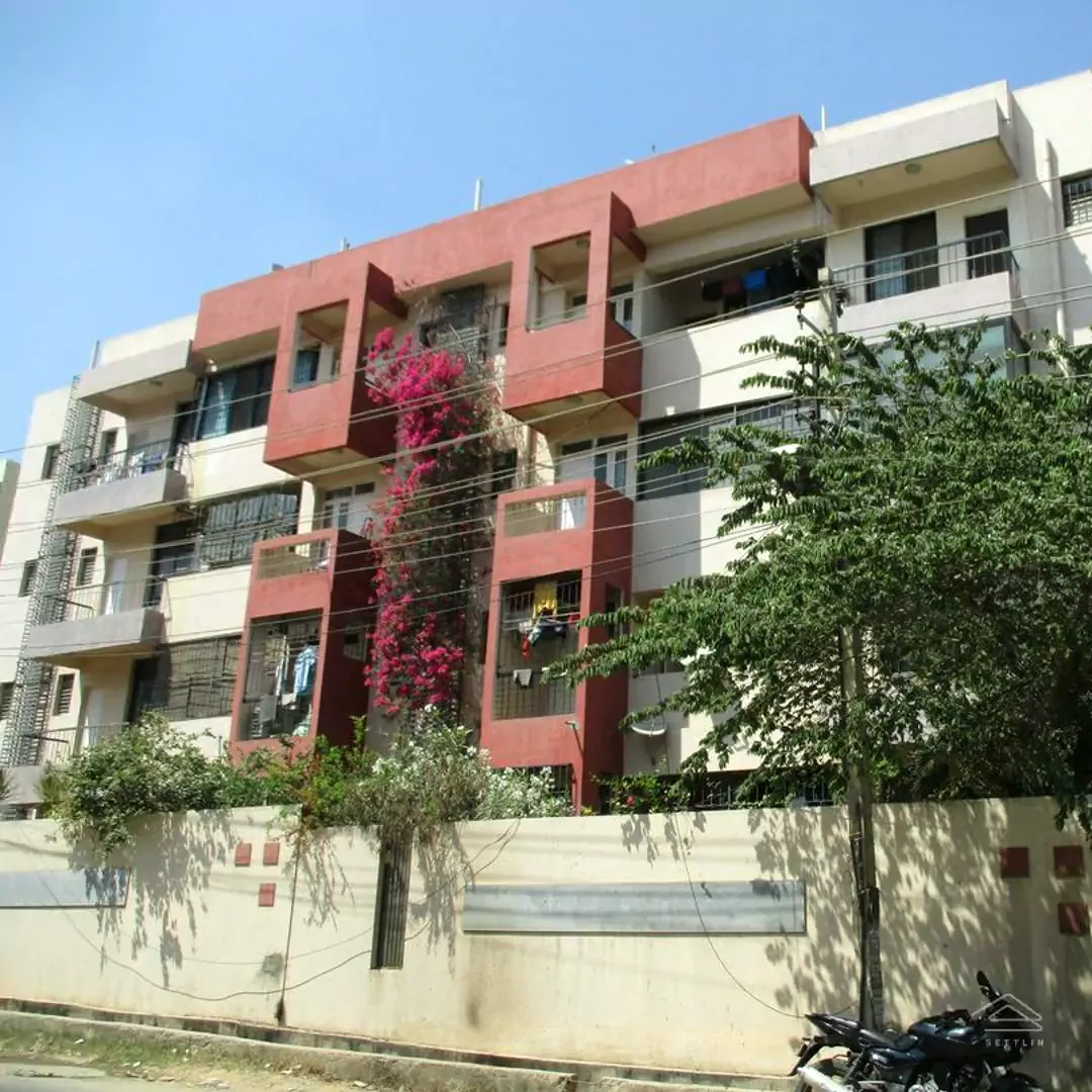 Image of Silver Nest , Kudlu
