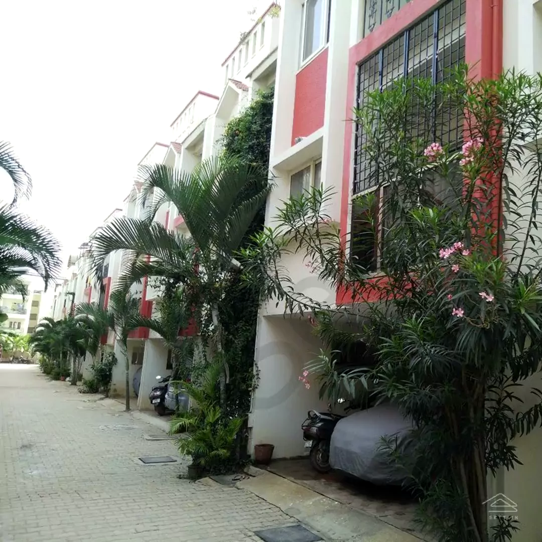 Image of Rajni Ashish Rose , Whitefield