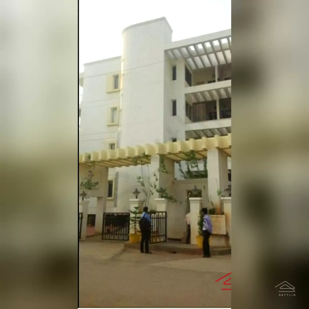 Image of Daadys Olive , Electronic City