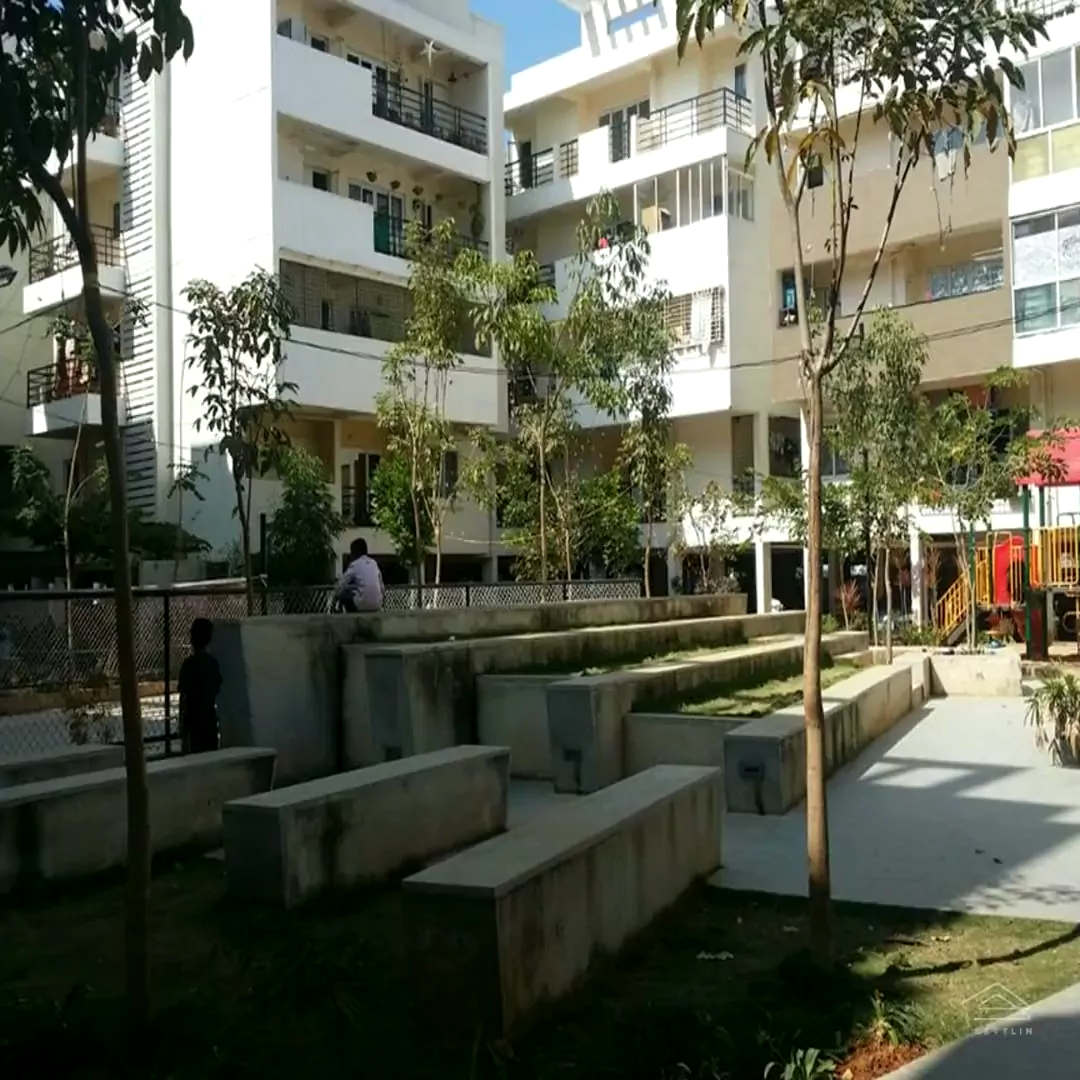 Image of Trifecta Sollievo , Whitefield