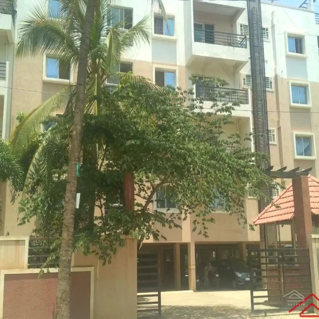 Image of Ssvr Camellia Elegant , Whitefield
