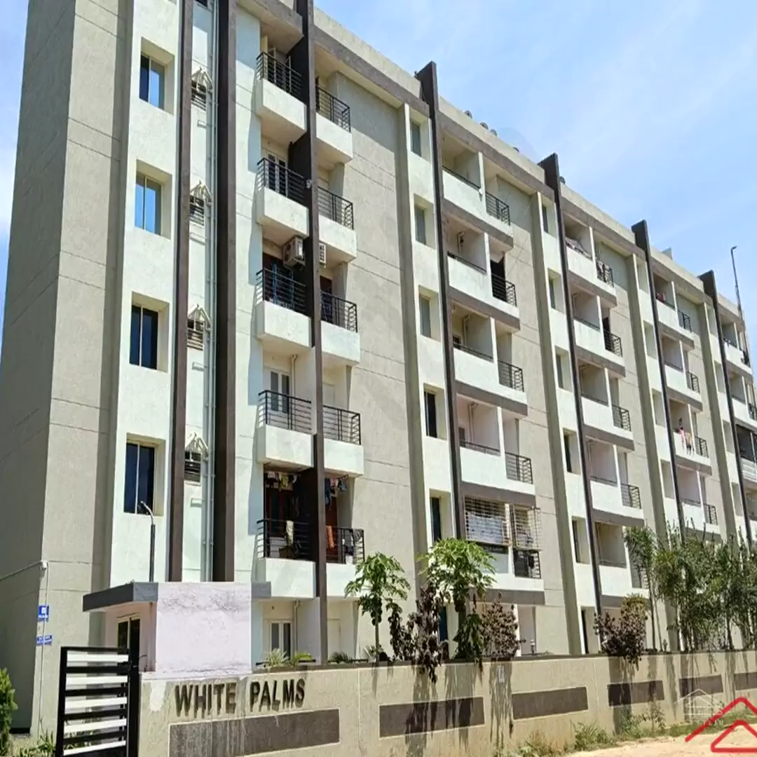 Image of Epshita White Palms , Nagondanahalli