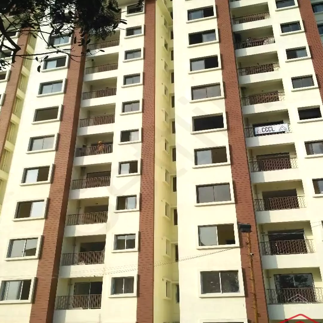 Image of Sumo Sonnet , Kudlu