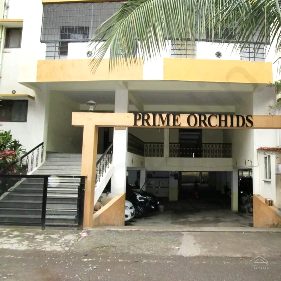 Image of Prime Orchids , Kaggadasapura
