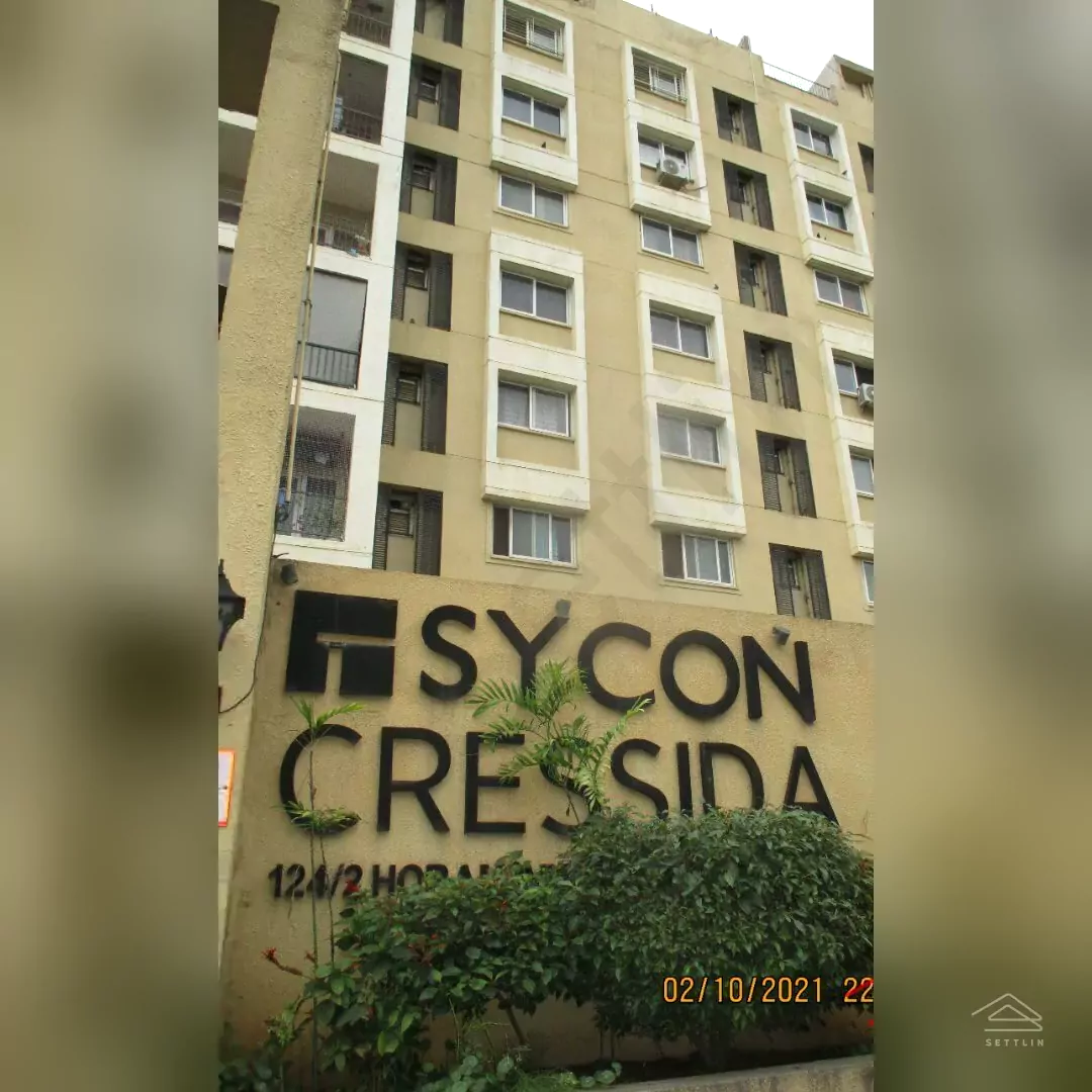 Image of Sycon Cressida , Horamavu