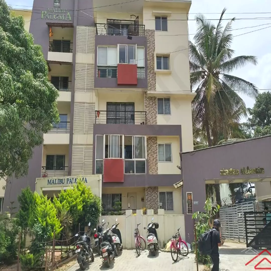 Image of Malibu Paloma (Whitefield), Whitefield
