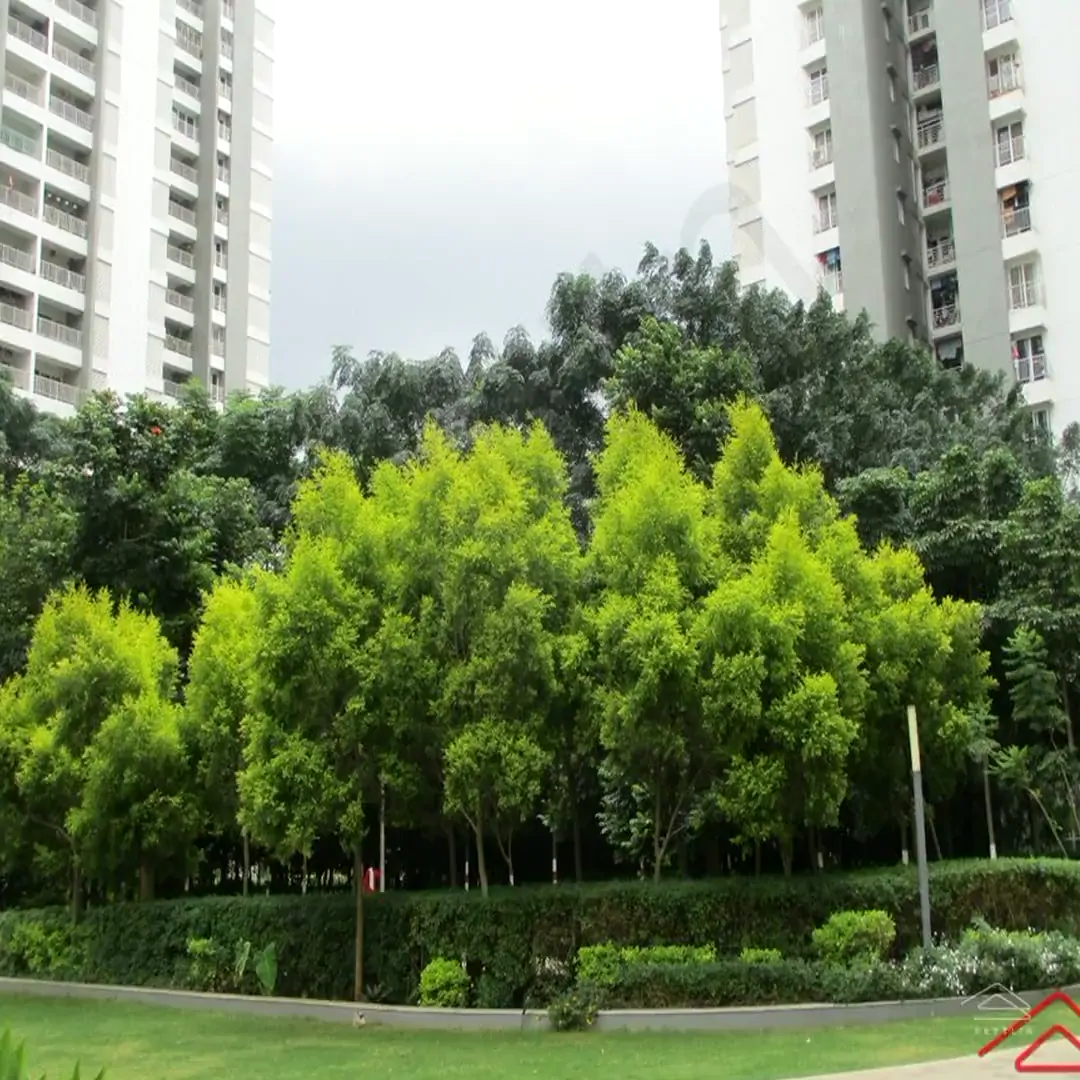 Property cover image