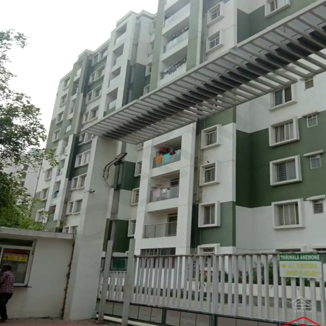 Image of Thirumala Anemone (Jp Nagar), Jp Nagar